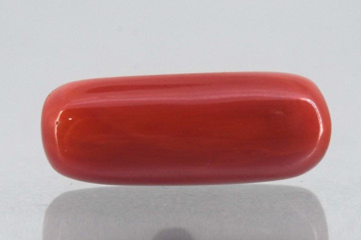 7.76/Carat Natural Cylindrical Red Coral-1800