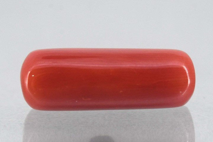 7.71/Carat Natural Cylindrical Red Coral-1800