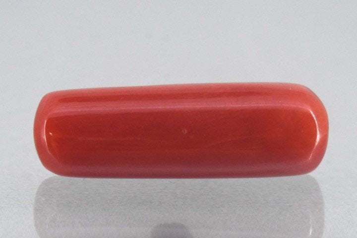 7.24/Carat Natural Cylindrical Red Coral-1800