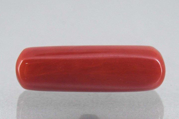 7.39/Carat Natural Cylindrical Red Coral-1800