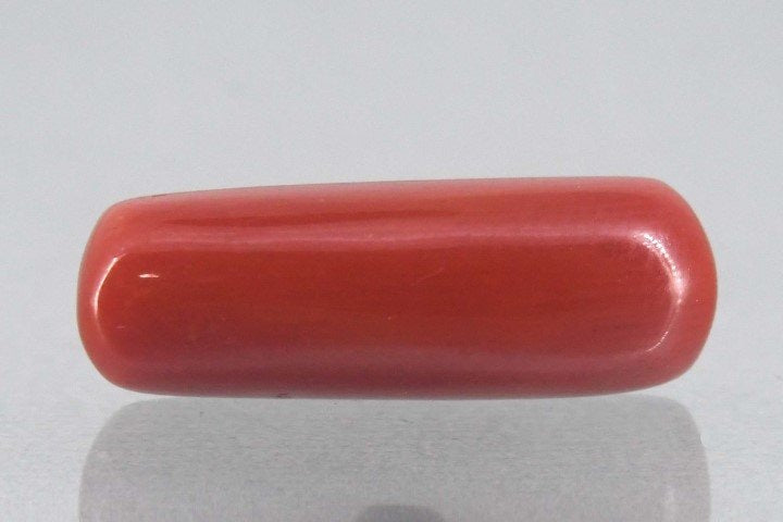 7.80/Carat Natural Cylindrical Red Coral-1800