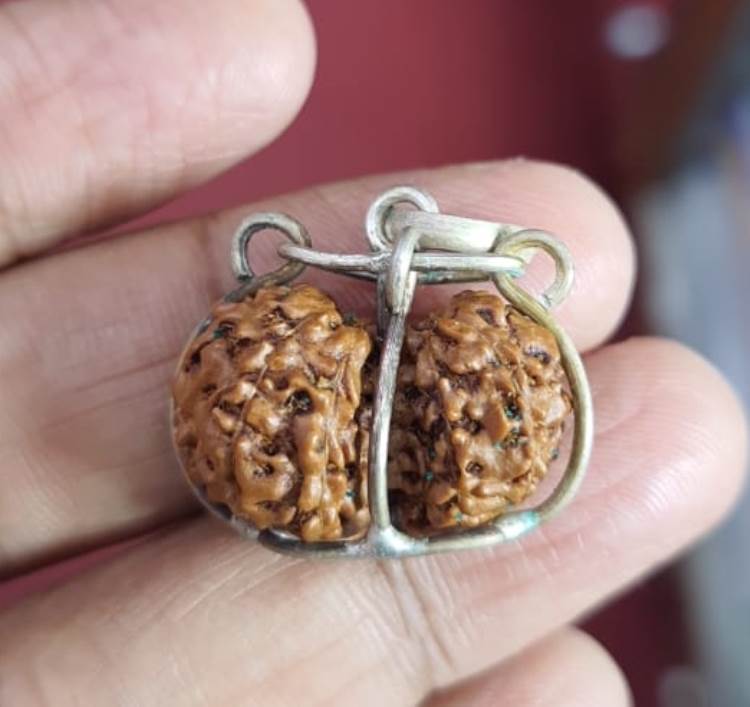 Gauri Shanker Indonesian Rudraksha (5500)