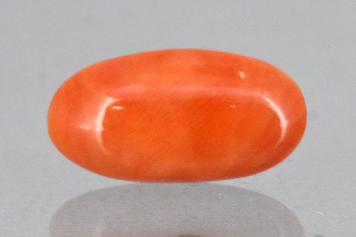 7.93/Carat Natural Japanese Red Coral-6200