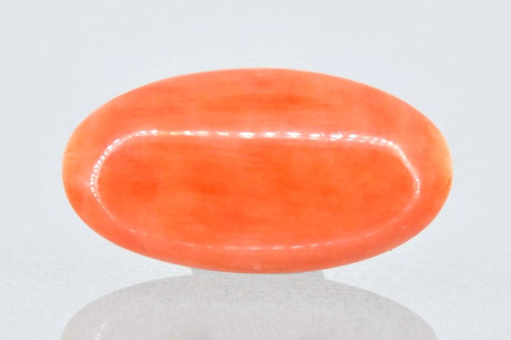 6.83/Carat Natural Japanese Red Coral (6200)