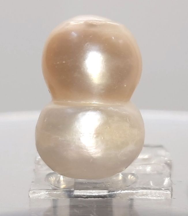 KESHI PEARL-230033-1650-17.05