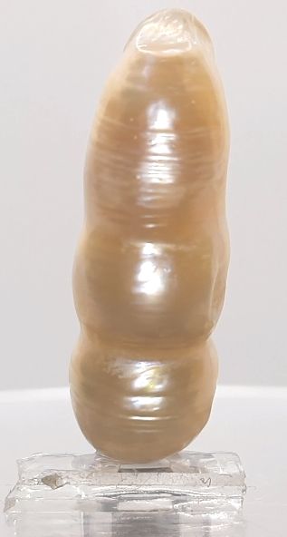 KESHI PEARL-230042-1650-27.10