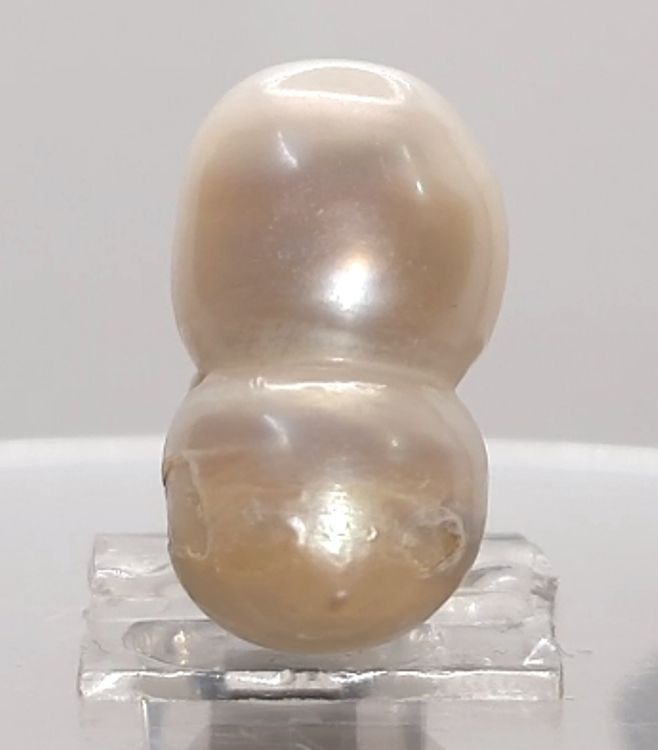 KESHI PEARL-230045-1650-19.00