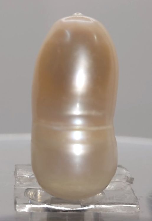 KESHI PEARL-230163-1650-22.80