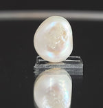 Load image into Gallery viewer, Keshi Pearl-1650
