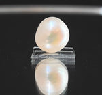 Load image into Gallery viewer, Keshi Pearl-1650
