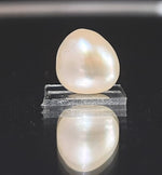 Load image into Gallery viewer, Keshi Pearl-1650
