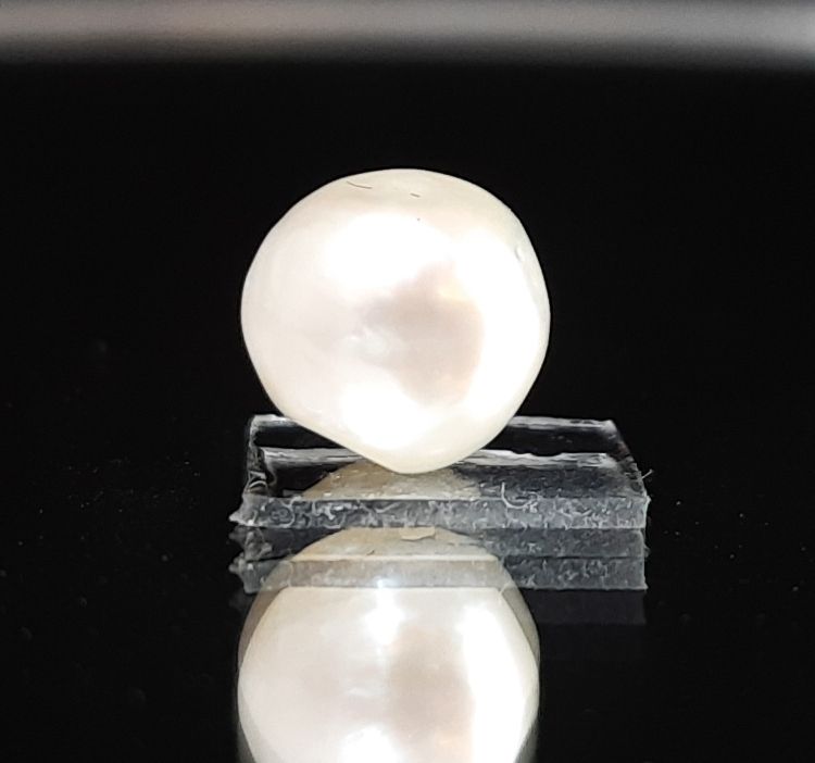 Keshi Pearl-1650