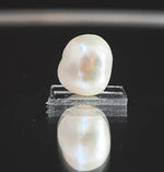 Load image into Gallery viewer, Keshi Pearl-1650
