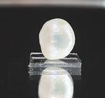 Load image into Gallery viewer, Keshi Pearl-1650
