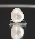 Load image into Gallery viewer, Keshi Pearl-1650
