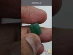 Load and play video in Gallery viewer, 4.01/CT Natural Panna Stone with Govt. Lab Certificate-2331
